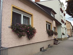 Frankenh&auml;user Bl&uuml;tensommer