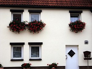 Frankenh&auml;user Bl&uuml;tensommer