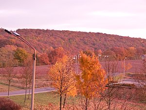 G&uuml;ldener Herbst