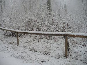 Winteranfang