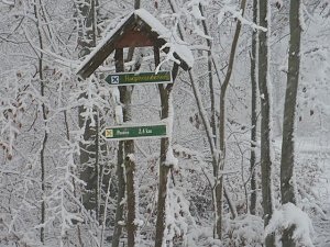 Winteranfang