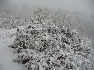 Winteranfang