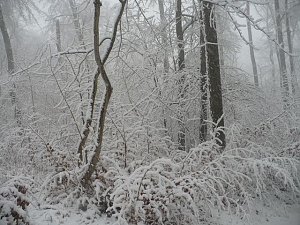 Winteranfang