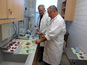 Trichinenlabor offen