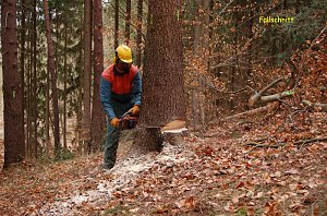 Aus- und Weiterbildung von Waldbesitzern