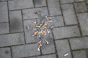 Falsch verstanden