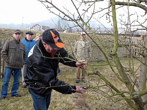 Baumschnittseminar