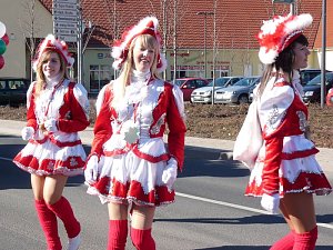 Rosensonntagsumzug