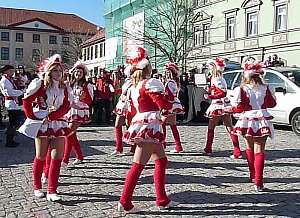 Narren auf dem Anger