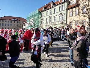 Narren auf dem Anger