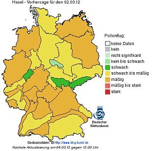 Bild: Logo