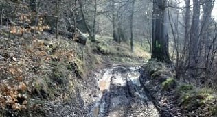 Bild: Steinberg-Rundweg vorl&auml;ufig meiden