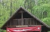 Bild: Waldausflug zum Wilden Mann