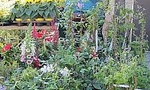 Bild: Wieder Ansturm in Braunsroda