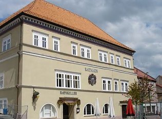 Bild: Wieder Versteigerung bei der Stadt