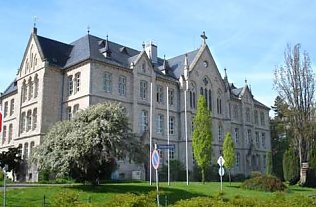 Bild: Schulfest am Gymnasium Sondershausen