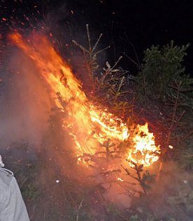 Bild: Umsatztr&auml;chtige Knutfeste