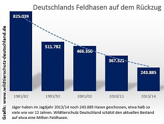 Bild: Grafik