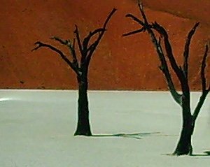 Bildausschnitt Fotoarbeit (Foto: Karl-Heinz Herrmann)