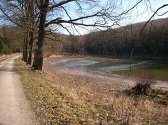 Pfaffenteich 1 (Foto: Karl-Heinz Herrmann)