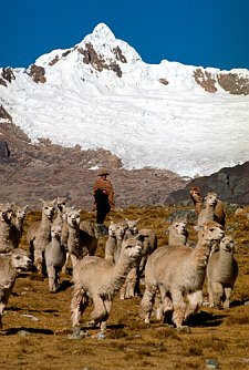 Vortrag &uuml;ber Peru (Foto: privat)