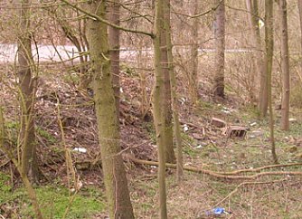 M&uuml;ll im Krummen Tal (Foto: Karl-Heinz Herrmann)