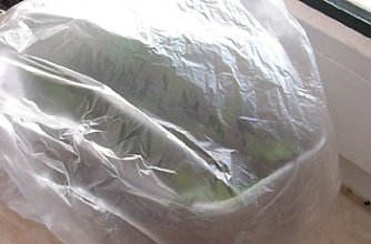 Pflanzschale (Foto: Peter Scheller)