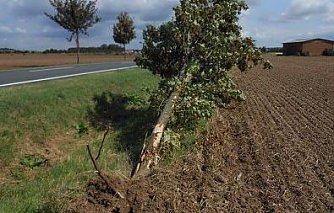 Kein Verfahren (Foto: NABU Kyffh&auml;userkreis)
