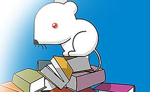 Neues Projekt gestartet (Foto: Sparkassen-Kulturstiftung)