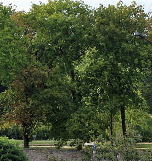 Teilweise wieder begehbar (Foto: Karl-Heinz Herrmann)