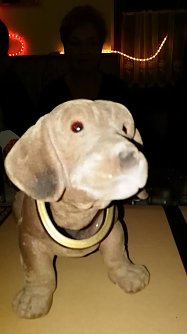 Weihnachtsfeier auf dem Hundeplatz... (Foto: Jacqueline Lange)