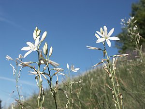 Gef&uuml;hrte Wanderungen im Naturpark Kyffh&auml;user (Foto: Naturpark Kyffh&auml;user)