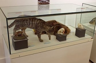 Ausklang der Sonderausstellung (Foto: Karl-Heinz Herrmann)