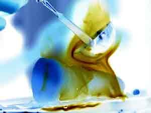 Weihnachtsmarkt der Vereine in Oldisleben (Foto: Privat)