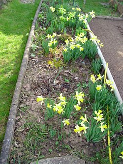 Fr&uuml;hling in Gartenanlage Gl&uuml;ckauf (Foto: Thomas Leipold)
