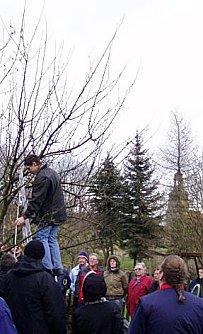 Baumschnitt im Kunsthof (Foto: Kunsthof Friedrichsrode)