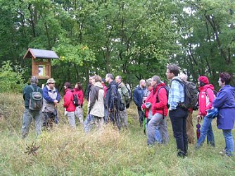 Geotop Udersleben (Foto: Regionalmuseum Bad Frankenhausen)