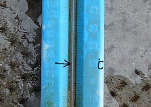 Abbaden der Wasserwacht (Foto: Karl-Heinz Herrmann)