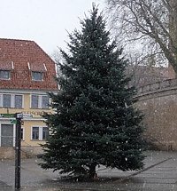 Weihnachtsbaum (Foto: Karl-Heinz Herrmann)