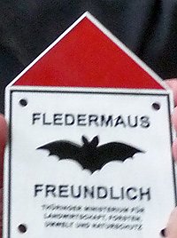 Bild: Fledermausfreundliche Kindervilla