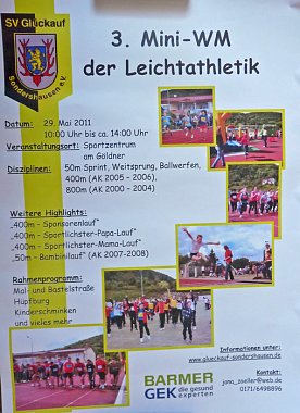 Bild: Flyer Mini-WM