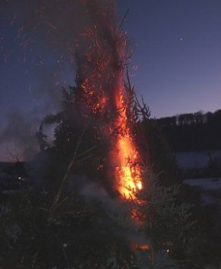 Bild: Weihnachtsb&auml;ume nicht wegwerfen