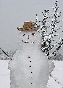 Bild: Bauen Sie einen Schneemann?