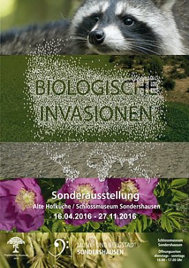 Bild: Erkundungsgang durch Sondershausen