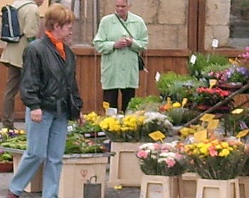 Blumen- und Staudenmarkt  (Foto: Karl-Heinz Herrmann)