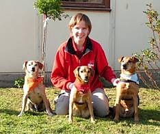 Trickdogseminar (Foto: ABC Hundeschule)