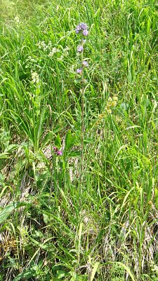 Nur verbale Ank&uuml;ndigungen? (Foto: B. Schwarzberg)