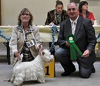 Showhandling und Ringtraining (Foto: ABC Hundeschule)