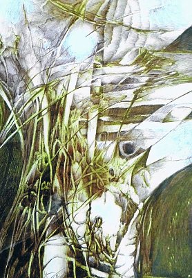 Zeichnung (Foto: K. Kisker)