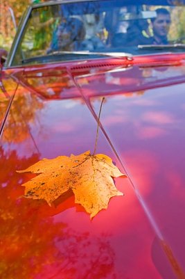 Es wird Herbst (Foto: Jupiterimages/Stockbyte/Thinkstock)